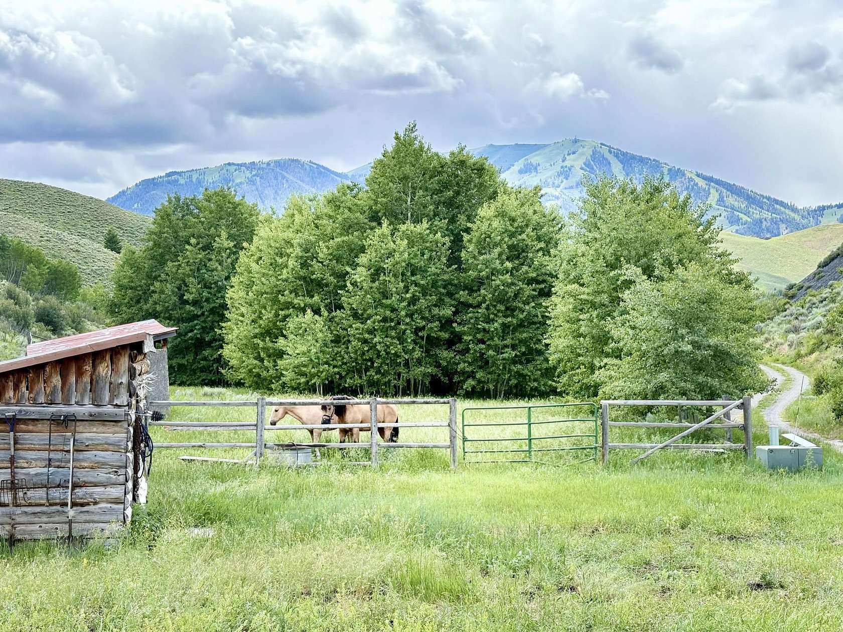 52 Acres of Land for Sale in Sun Valley, Idaho