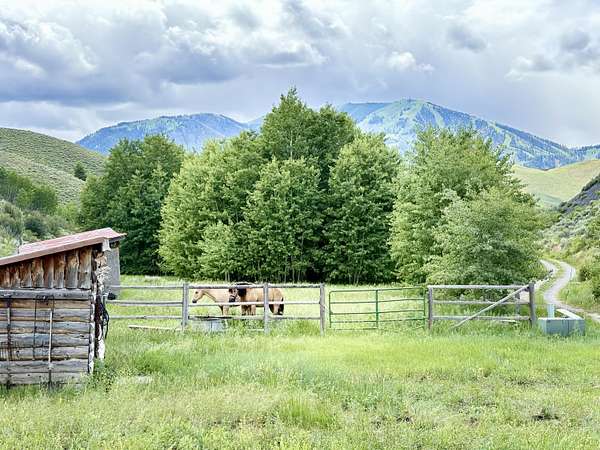 52 Acres of Land for Sale in Sun Valley, Idaho