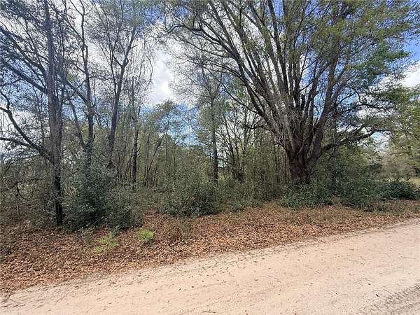 0.17 Acres of Residential Land for Sale in Ocala, Florida