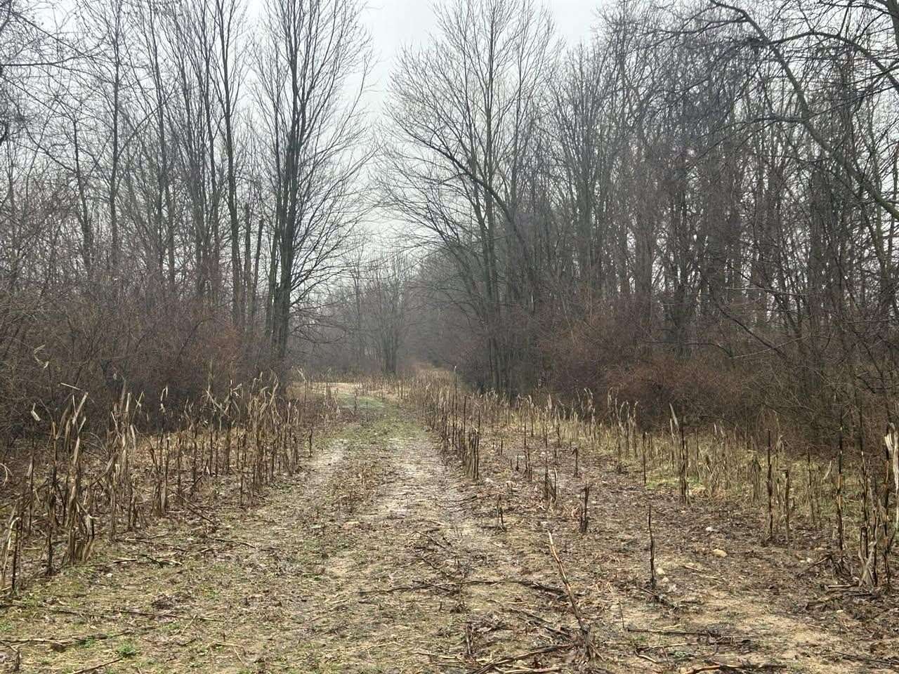 25 Acres of Recreational Land for Sale in Hillsdale, Michigan