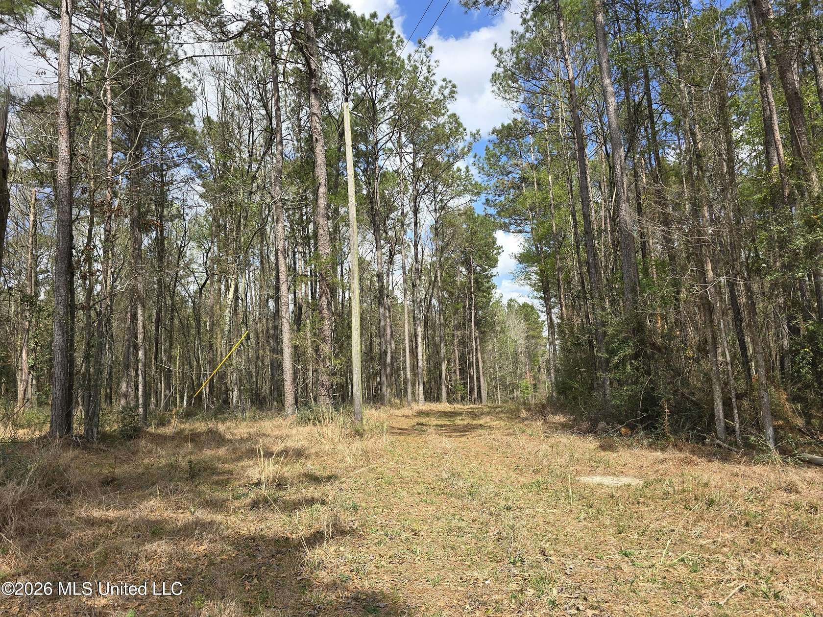 11.3 Acres of Land for Sale in Smithdale, Mississippi