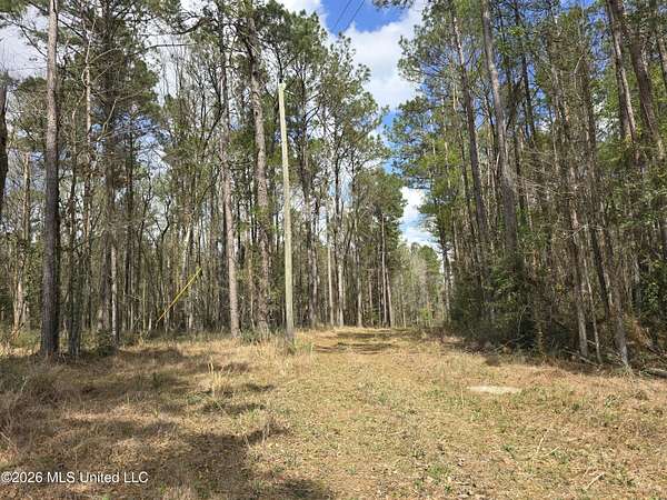 11.3 Acres of Land for Sale in Smithdale, Mississippi