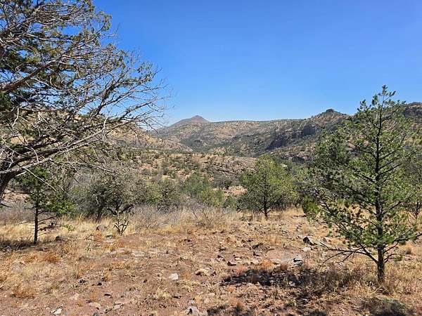 10.8 Acres of Land for Sale in Fort Davis, Texas