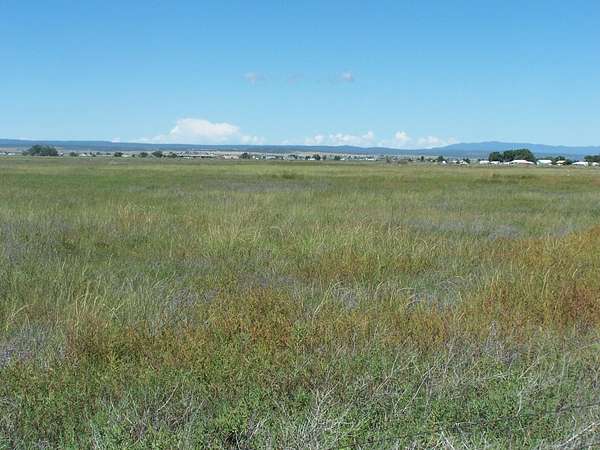 60 Acres of Land for Sale in McIntosh, New Mexico