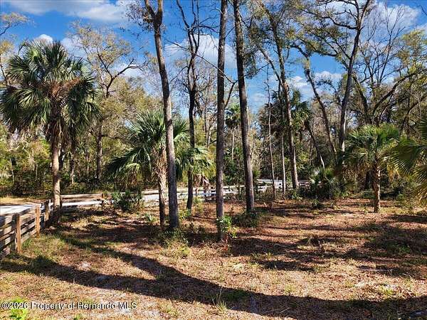 3.14 Acres of Land for Sale in Old Town, Florida