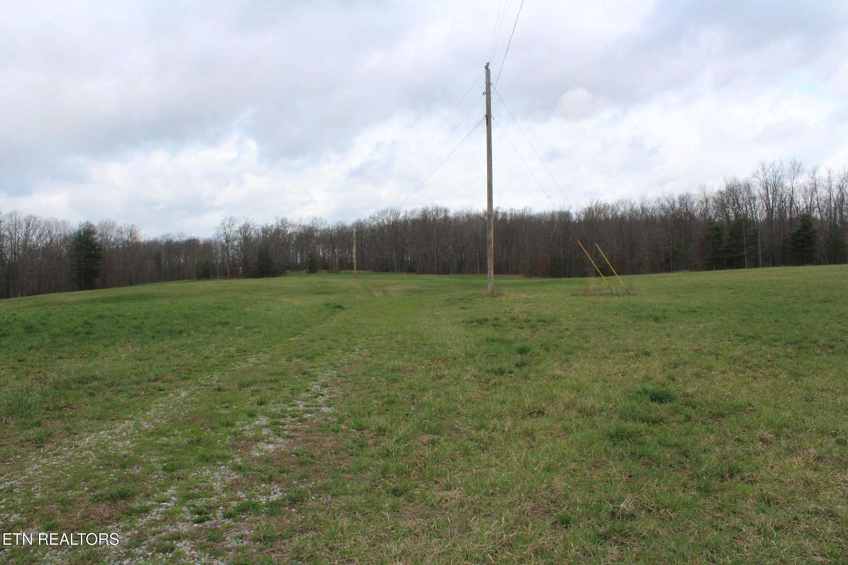 24.4 Acres of Land for Sale in Deer Lodge, Tennessee