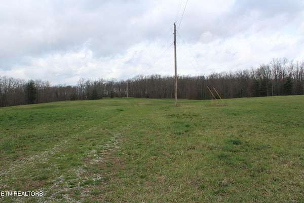 24.4 Acres of Land for Sale in Deer Lodge, Tennessee