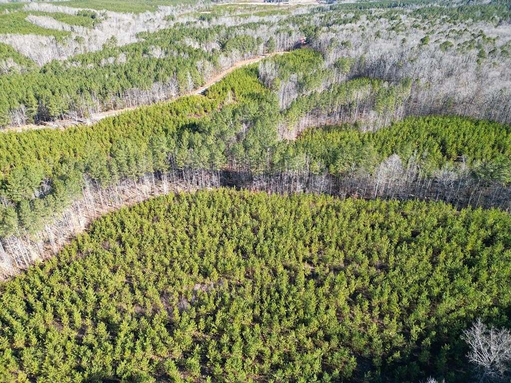 46.6 Acres of Recreational Land for Sale in Kenbridge, Virginia