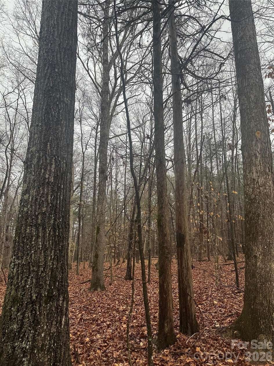 15 Acres of Land for Sale in Waxhaw, North Carolina