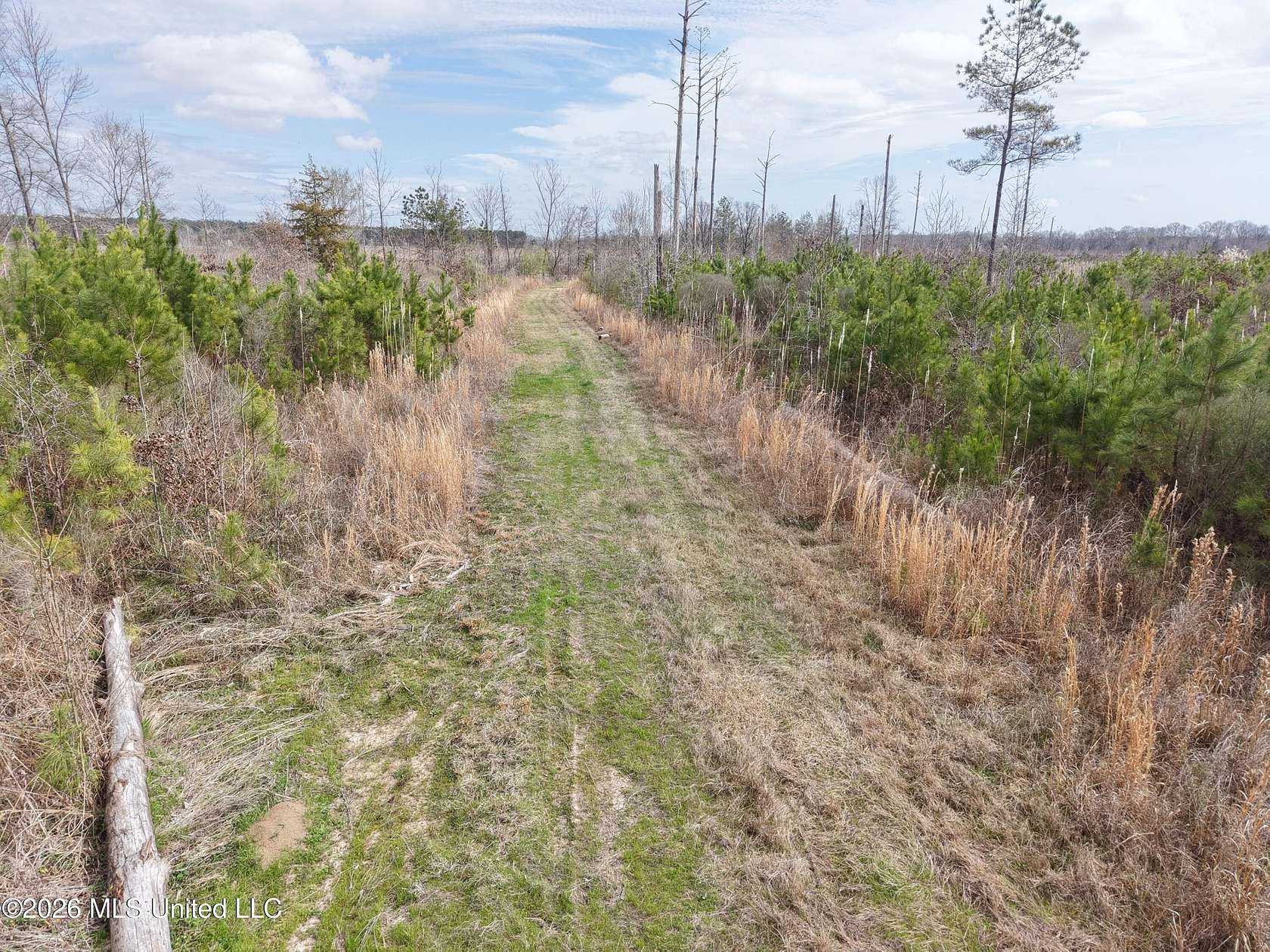 40 Acres of Land for Sale in Starkville, Mississippi
