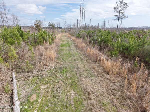 40 Acres of Land for Sale in Starkville, Mississippi