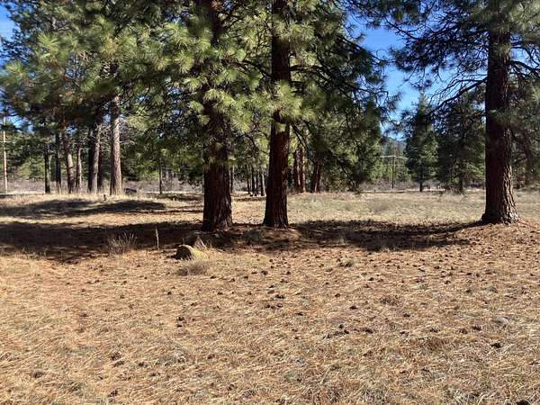 2.2 Acres of Residential Land for Sale in Chiloquin, Oregon