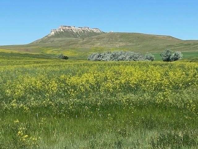 378 Acres of Agricultural Land for Sale in Newell, South Dakota