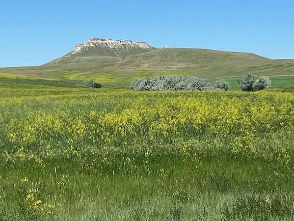 378 Acres of Agricultural Land for Sale in Newell, South Dakota