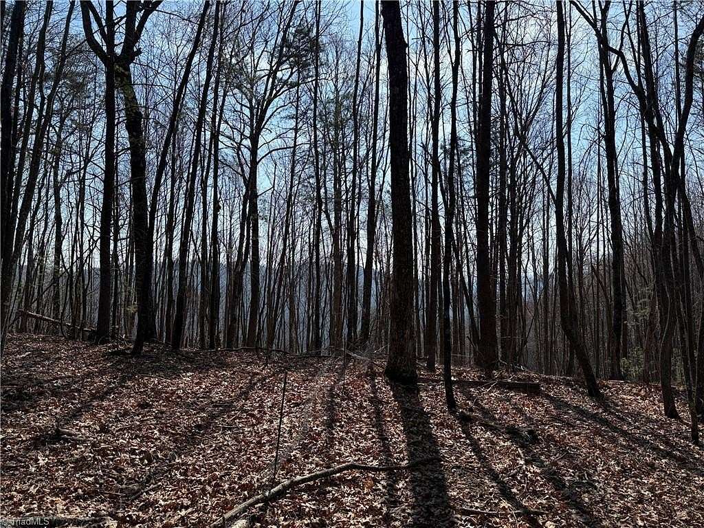 4 Acres of Residential Land for Sale in Purlear, North Carolina