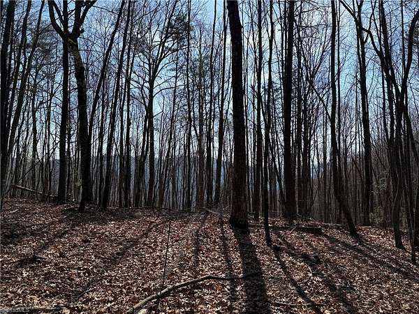 4 Acres of Residential Land for Sale in Purlear, North Carolina