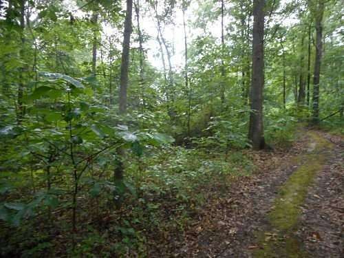 1.2 Acres of Residential Land for Sale in Flora, Illinois