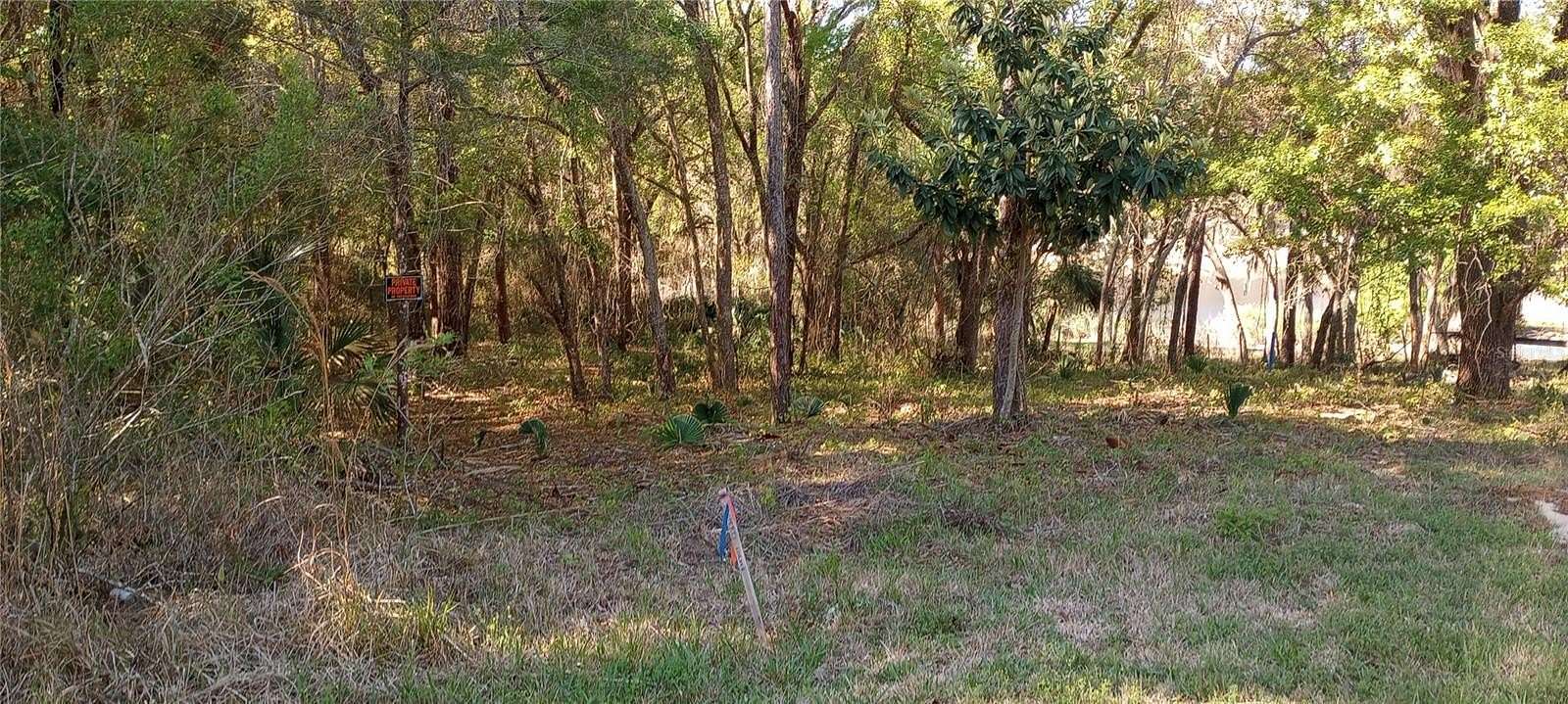 0.31 Acres of Residential Land for Sale in Lady Lake, Florida