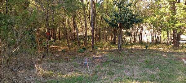 0.31 Acres of Residential Land for Sale in Lady Lake, Florida