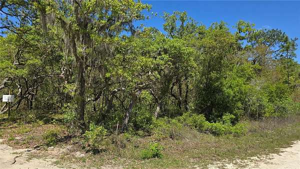 1 Acre of Land for Sale in Dunnellon, Florida