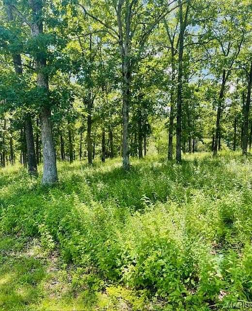0.5 Acres of Commercial Land for Sale in Owensville, Missouri