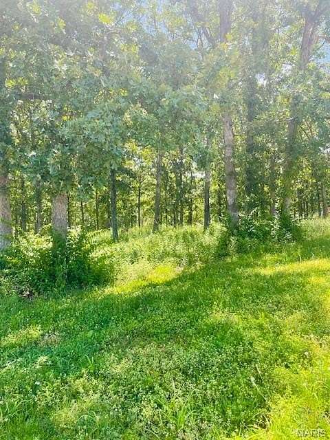 0.3 Acres of Commercial Land for Sale in Owensville, Missouri