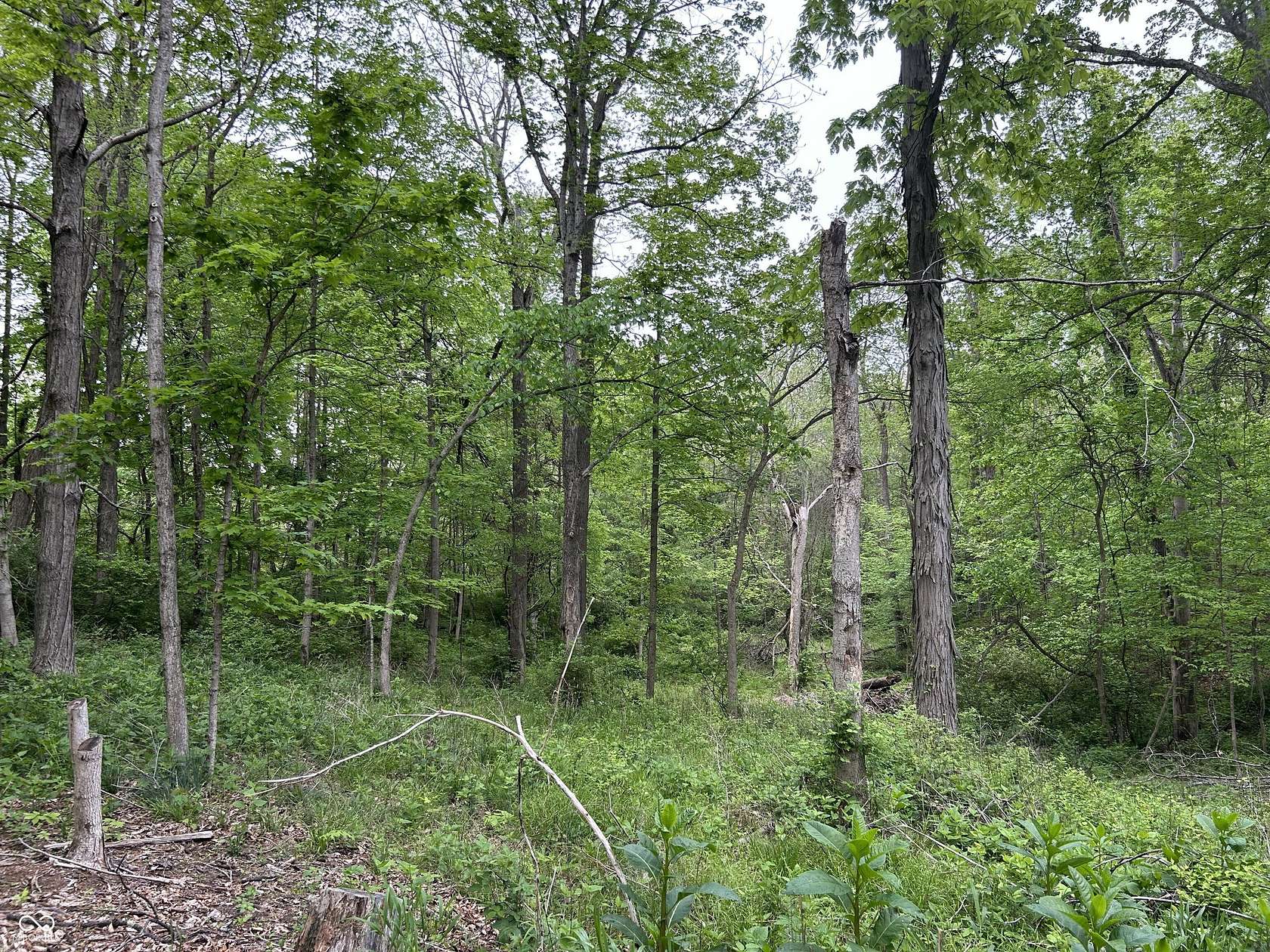 1.64 Acres of Residential Land for Sale in Nineveh, Indiana
