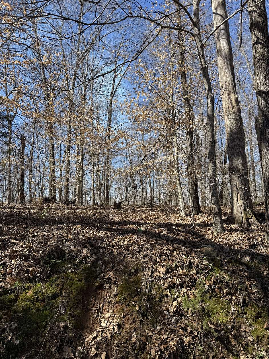 2 Acres of Land with Home for Sale in Cumberland City, Tennessee