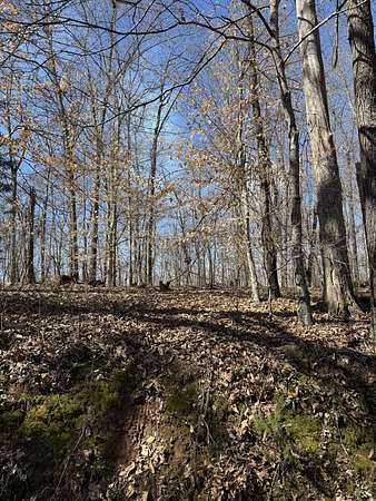 2 Acres of Land with Home for Sale in Cumberland City, Tennessee