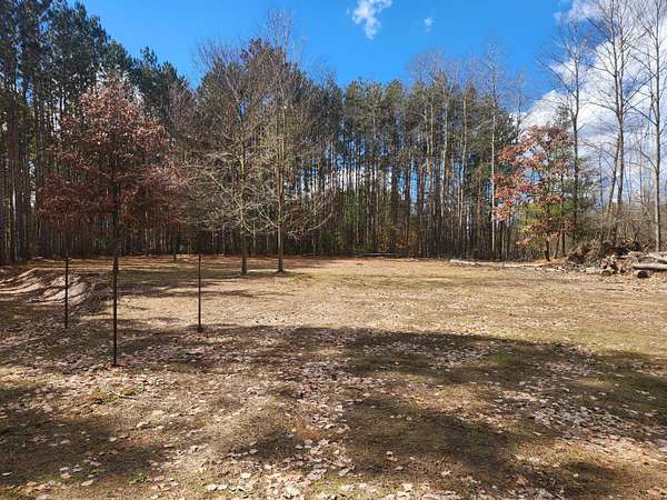 0.95 Acres of Land for Sale in Stanwood, Michigan