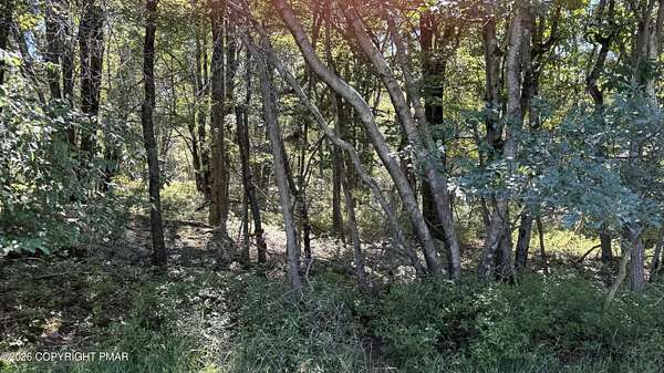 0.45 Acres of Residential Land for Sale in Blakeslee, Pennsylvania