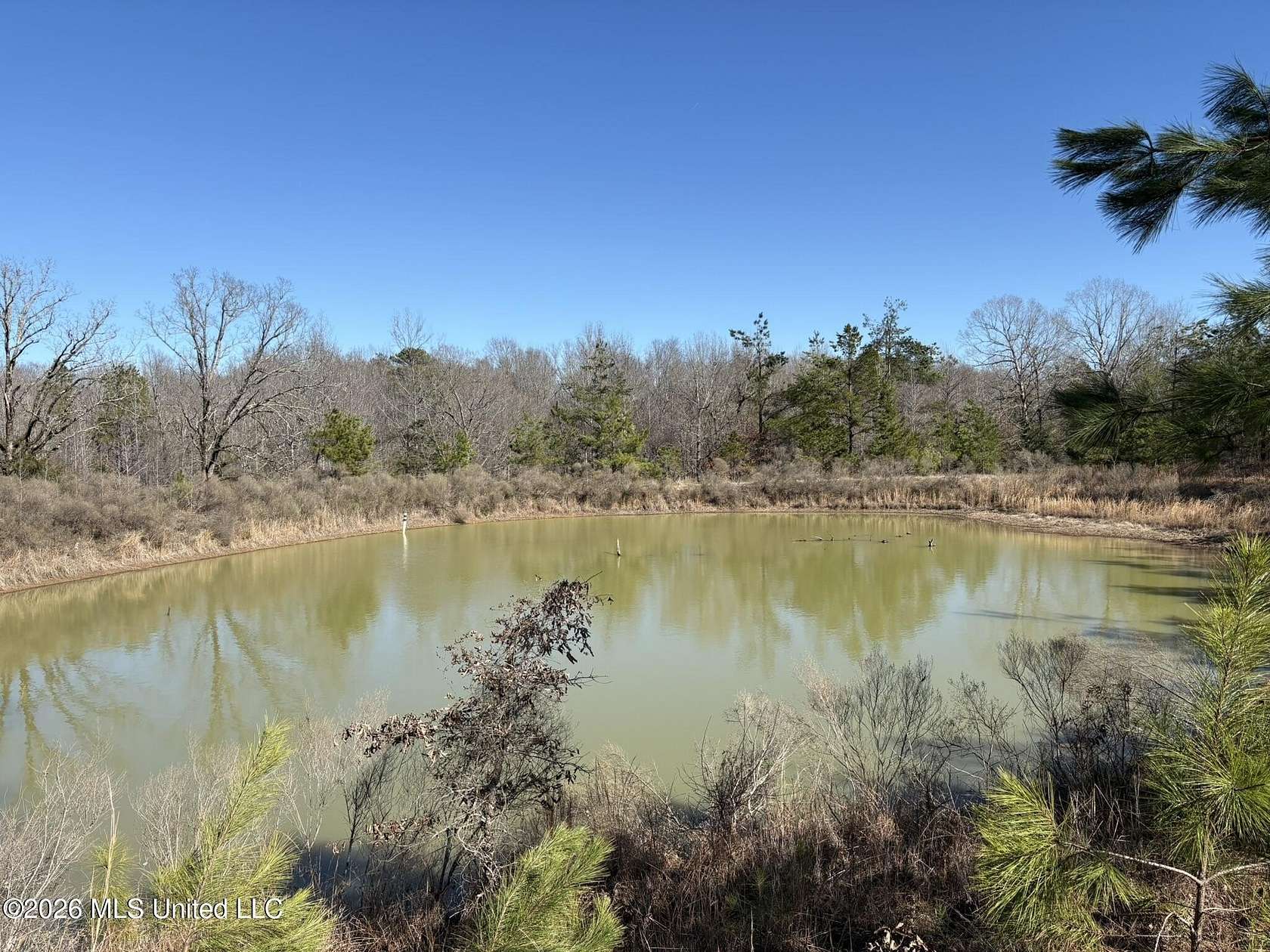 27.2 Acres of Land for Sale in Grenada, Mississippi