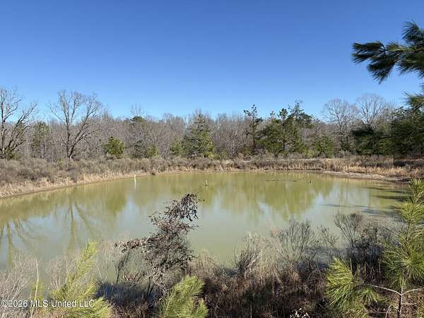 27.2 Acres of Land for Sale in Grenada, Mississippi