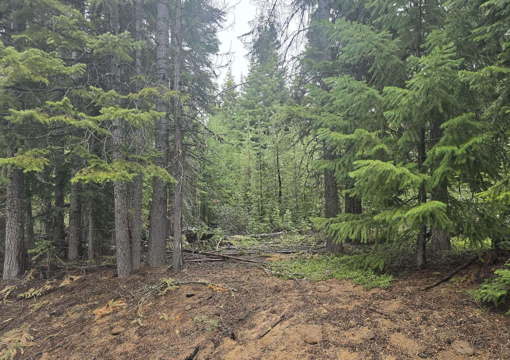 1.3 Acres of Residential Land for Sale in Crescent Lake, Oregon