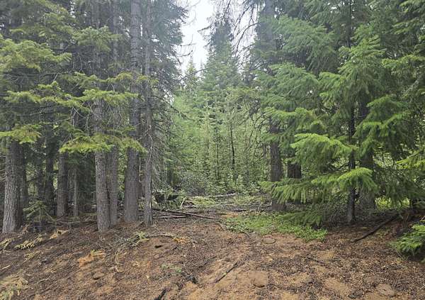 1.3 Acres of Residential Land for Sale in Crescent Lake, Oregon