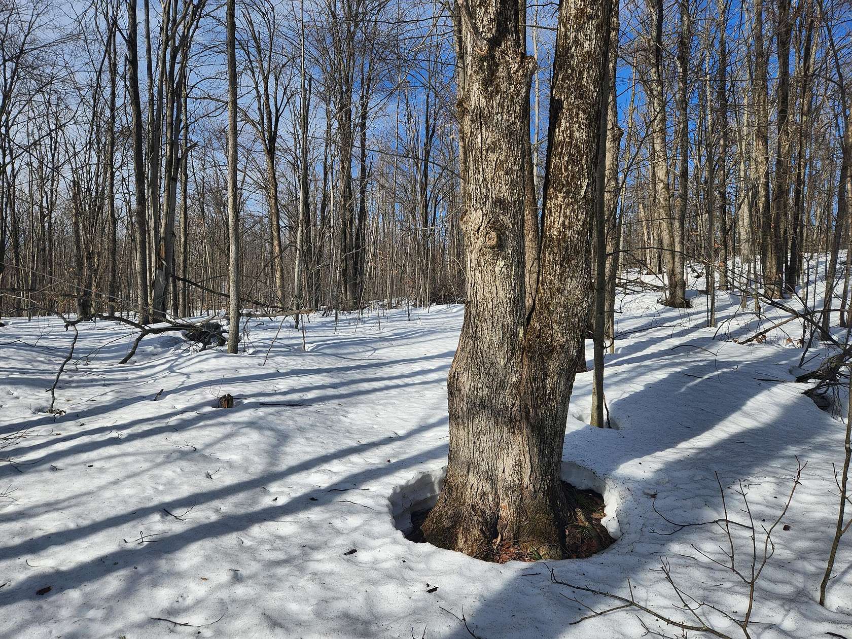 0.5 Acres of Land for Sale in Alba, Michigan