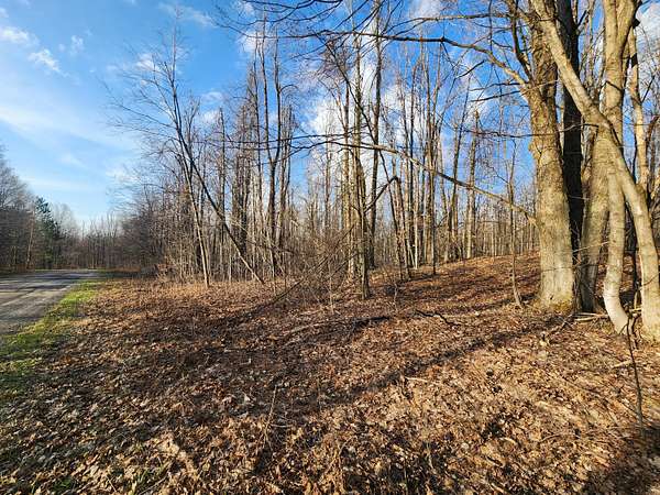 0.5 Acres of Land for Sale in Alba, Michigan