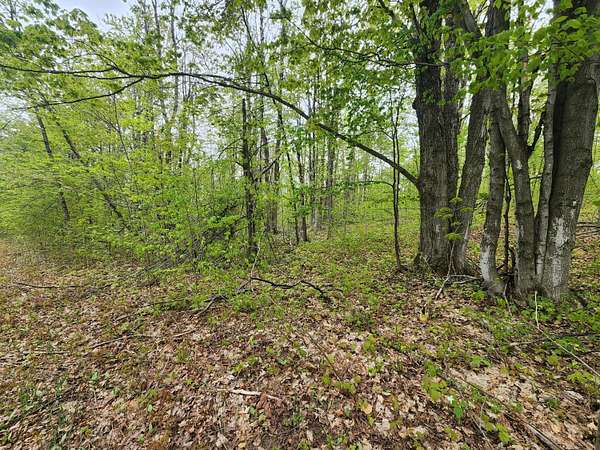 0.5 Acres of Land for Sale in Alba, Michigan