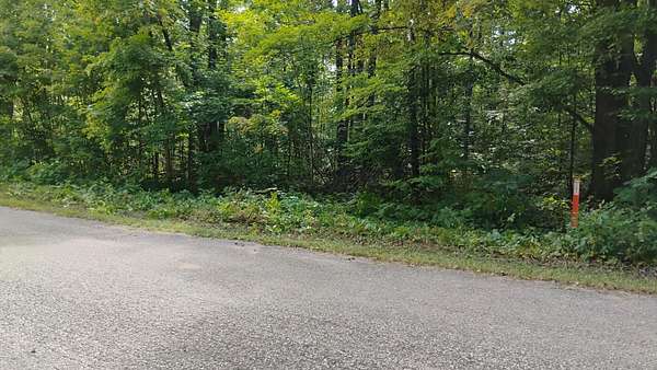 0.5 Acres of Land for Sale in Alba, Michigan