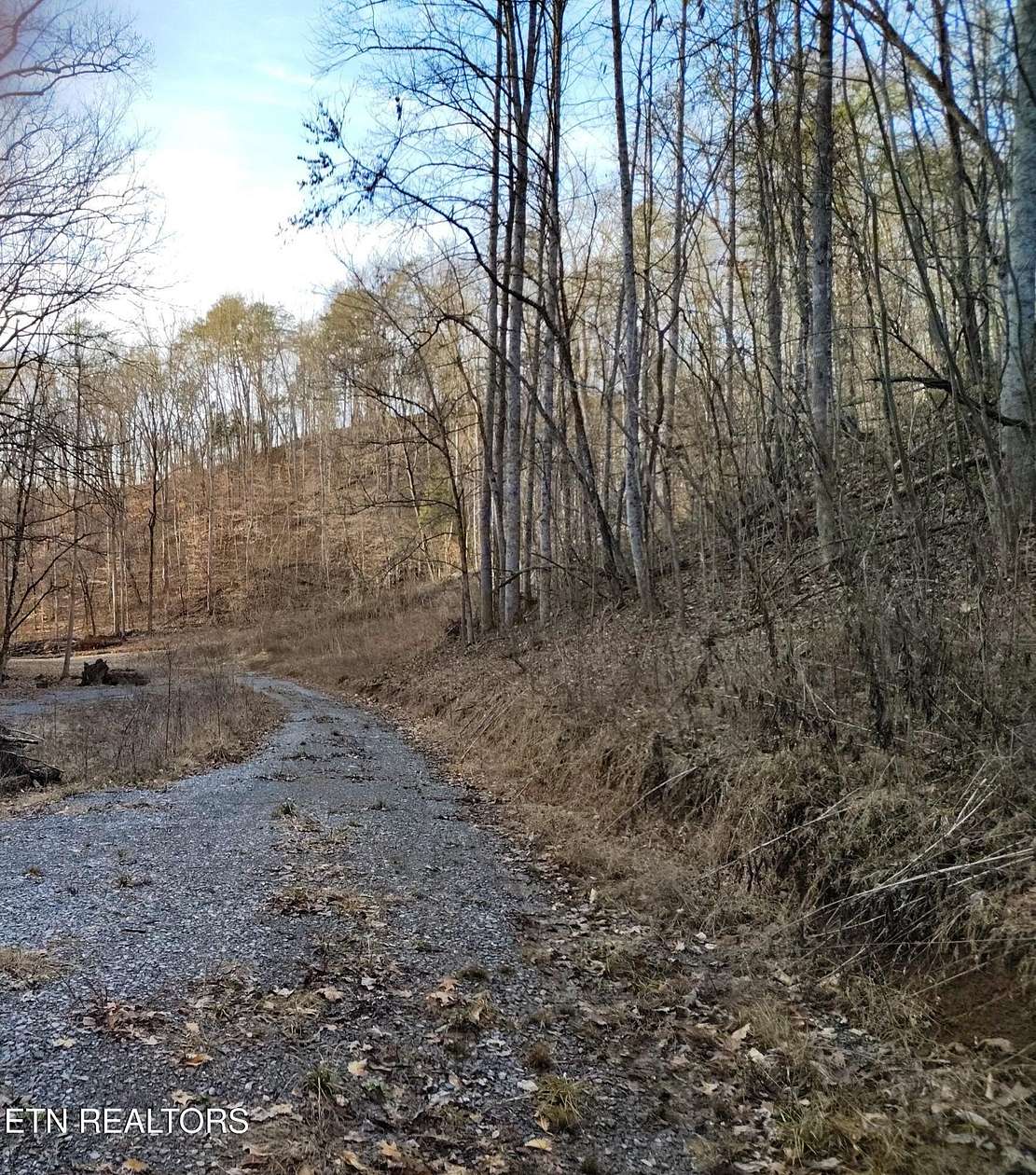 17 Acres of Land for Sale in Sevierville, Tennessee