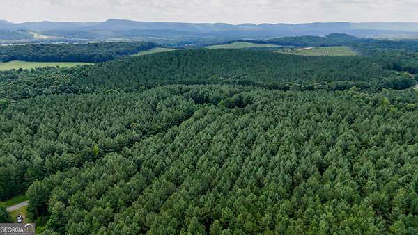42 Acres of Recreational Land for Sale in Lyerly, Georgia