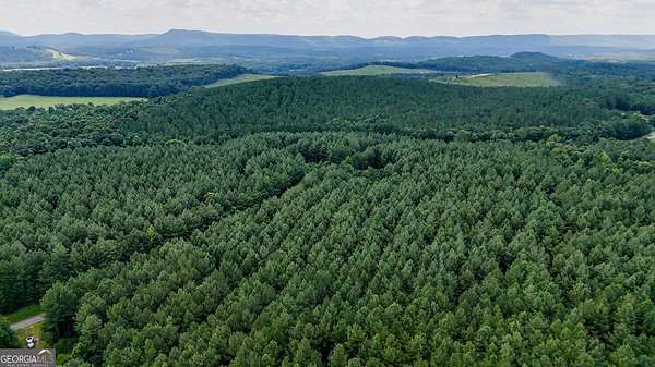 80 Acres of Recreational Land for Sale in Lyerly, Georgia