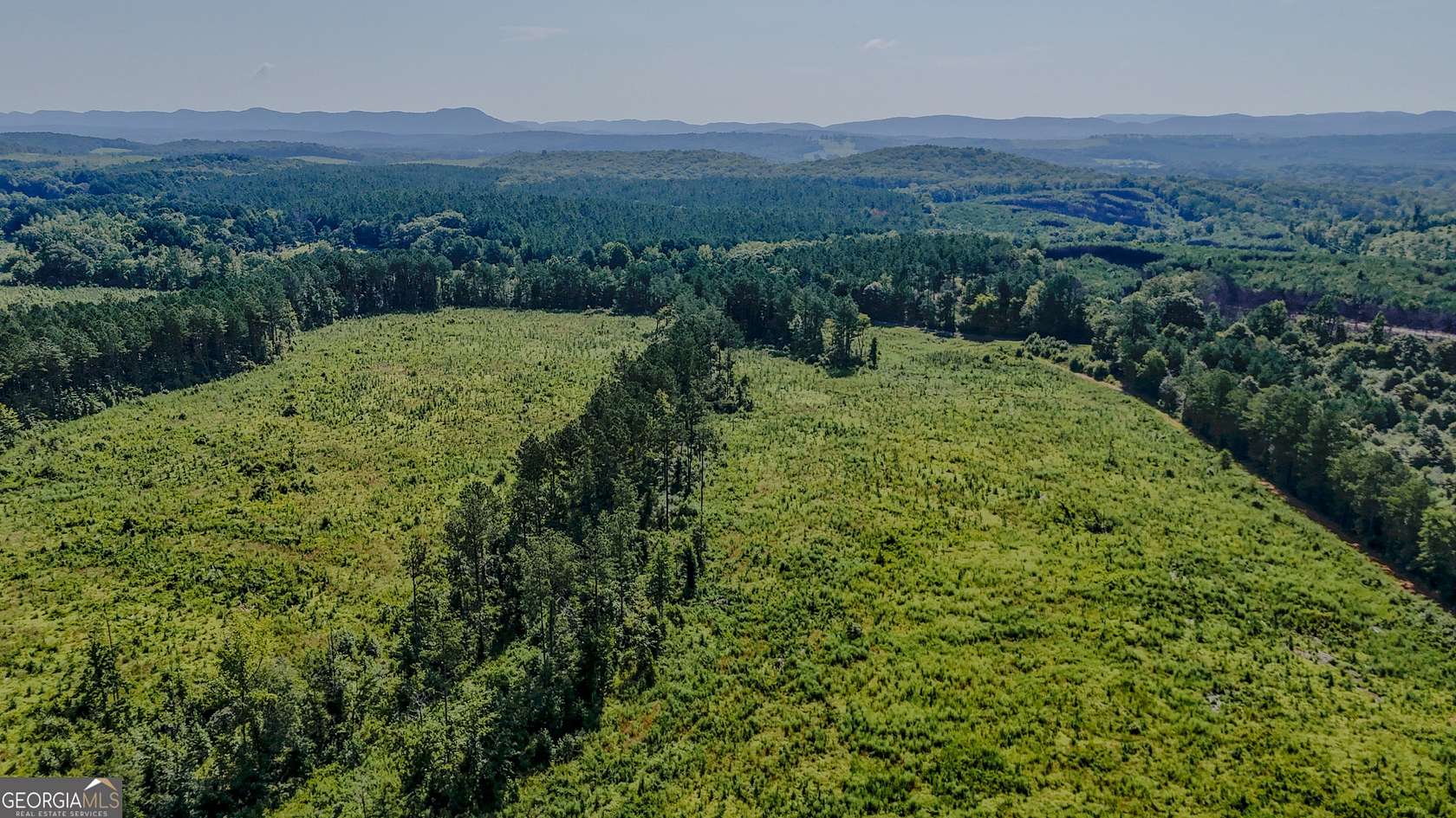 235 Acres of Land for Sale in Lyerly, Georgia