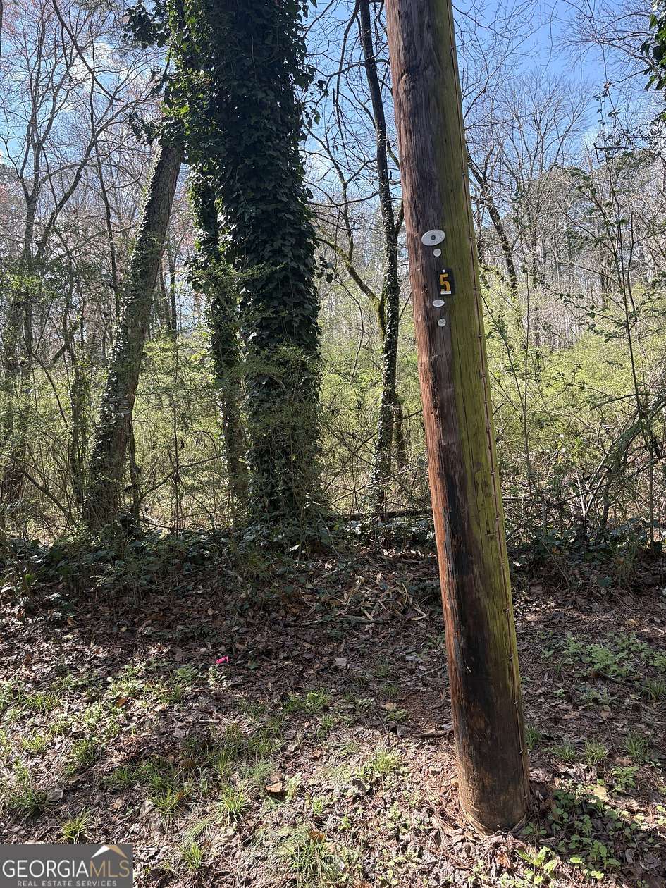 1 Acre of Residential Land for Sale in Atlanta, Georgia