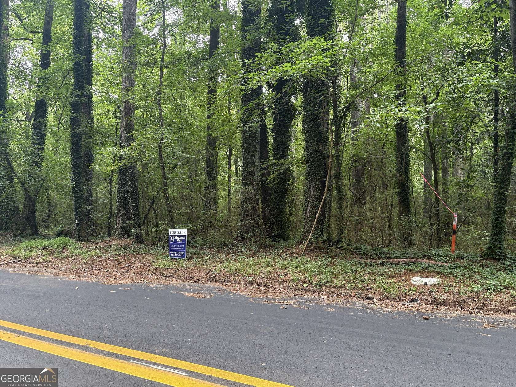 1 Acre of Land for Sale in Atlanta, Georgia