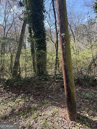 1 Acre of Residential Land for Sale in Atlanta, Georgia