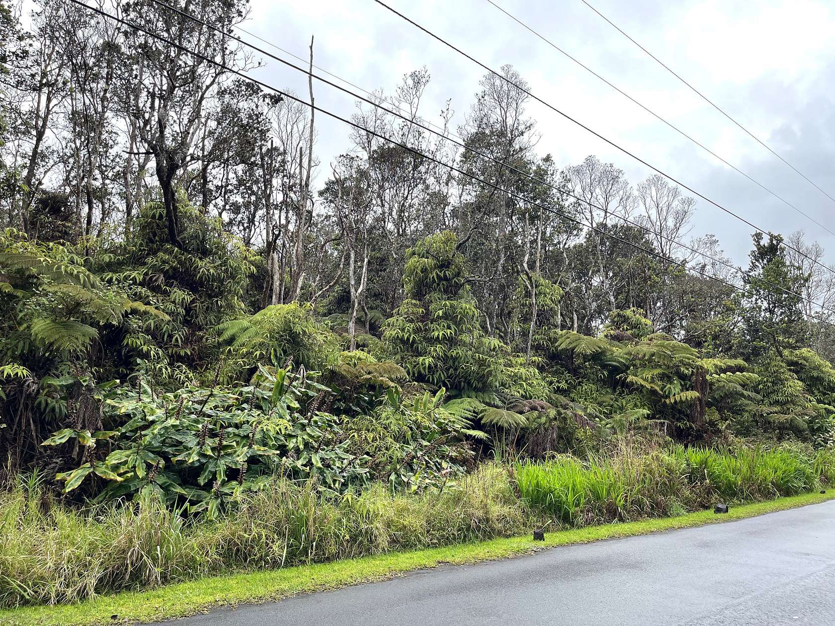 0.21 Acres of Residential Land for Sale in Volcano, Hawaii