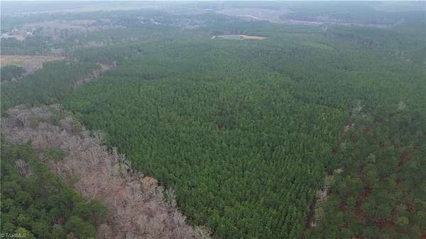 105 Acres of Recreational Land for Sale in Mount Gilead, North Carolina