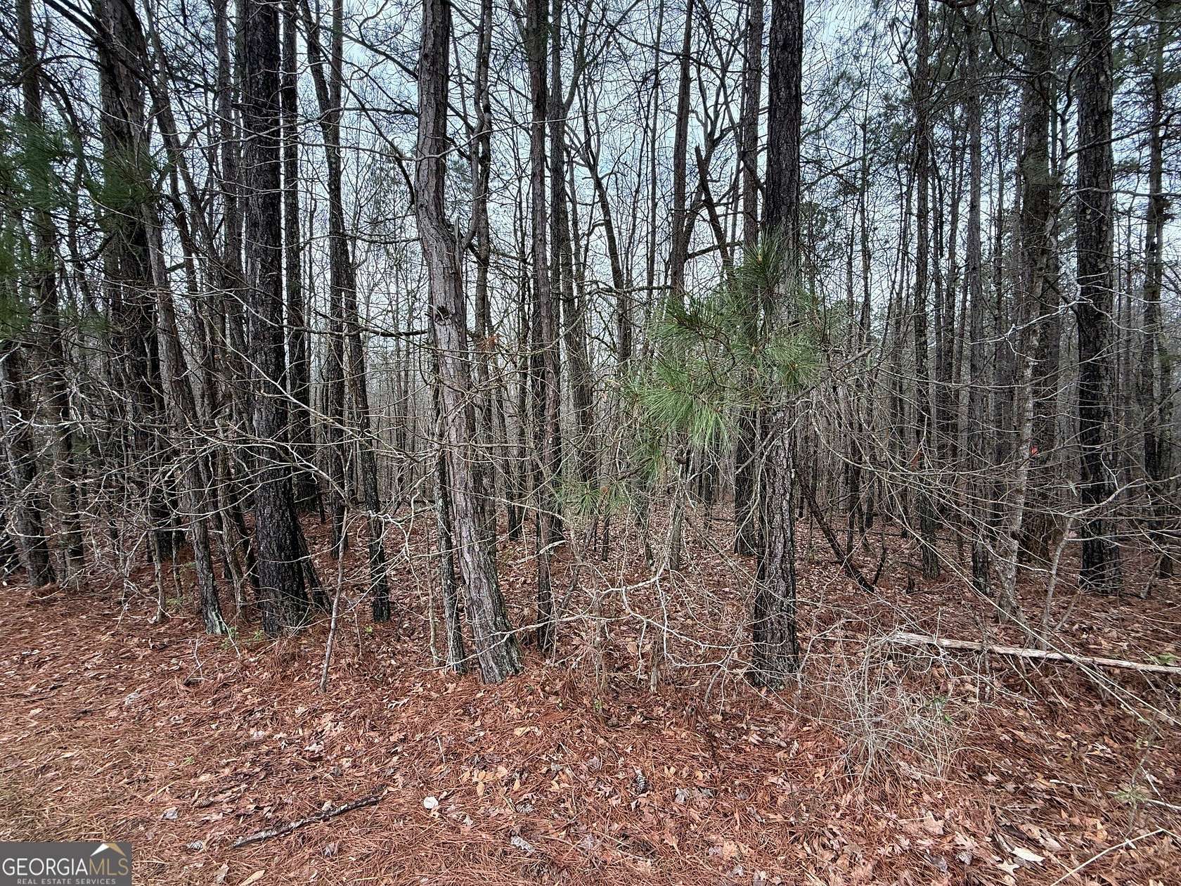 1.57 Acres of Land for Sale in Luthersville, Georgia