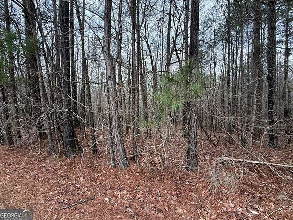1.57 Acres of Land for Sale in Luthersville, Georgia